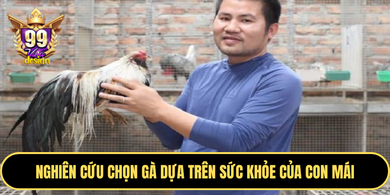 Nghiên cứu chọn gà dựa trên sức khỏe của con mái