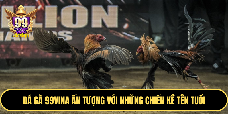 Đá gà 99VINA ấn tượng với những chiến kê tên tuổi